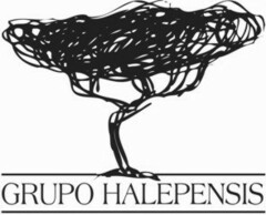 GRUPO HALEPENSIS