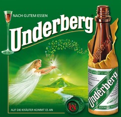 Underberg NACH GUTEM ESSEN AUF DIE KRÄUTER KOMMT ES AN