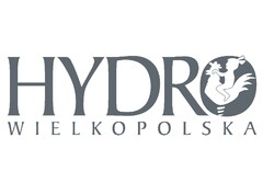 HYDRO WIELKOPOLSKA