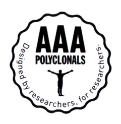 AAA POLYCLONALS Designed by researchers, for researchers.