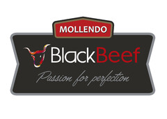 MOLLENDO BLACKBEEF PASSION FOR PERFECTION