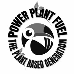 POWER PLANT FUEL THE PLANT BASED GENERATION