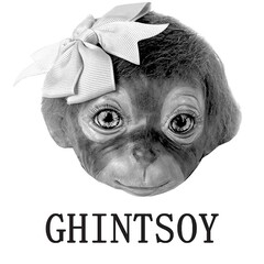 GHINTSOY