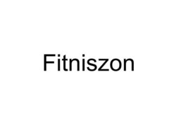 Fitniszon