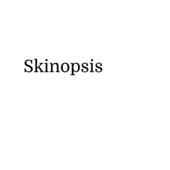 Skinopsis