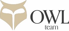 OWL team