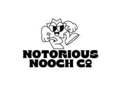 NOTORIOUS NOOCH CO