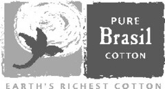 PURE Brasil COTTON EARTH'S RICHEST COTTON