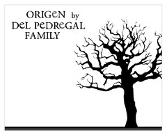 ORIGEN BY DEL PEDREGAL FAMILY