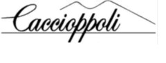 CACCIOPPOLI