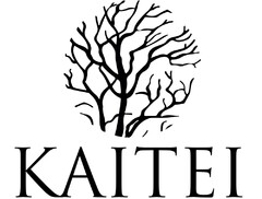 KAITEI