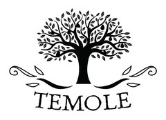 TEMOLE