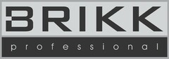 BRIKK professional