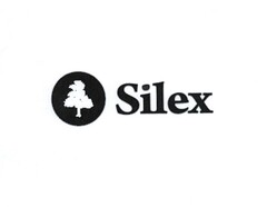 Silex