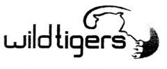 wild tigers