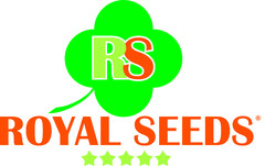 ROYAL SEEDS