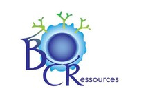 BCRessources