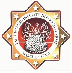 TARTUFO NERO PREGIATO DI ROCCAFLUVIONE MARCHE ITALY
