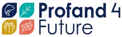 PROFAND 4 FUTURE