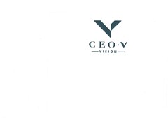 CEO V  VISION