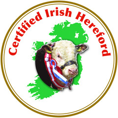 Certified Irish Hereford