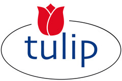 tulip