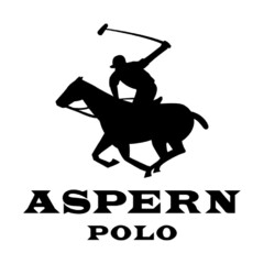 ASPERN POLO
