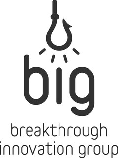 BIG      BREAKTHROUGH INNOVATION GROUP