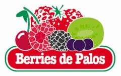 BERRIES DE PALOS