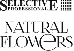 SELECTIVE PROFESSIONAL NATURAL FLOWERS