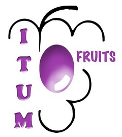 ITUM FRUITS