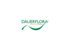 DAUERFLORA BEGRÜNUNGSDESIGN