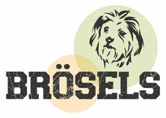 BRÖSELS