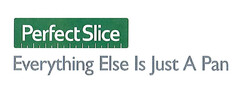 Perfect Slice Everything Else Is Just A Pan