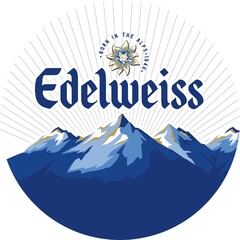 EDELWEISS born in the alps 1646