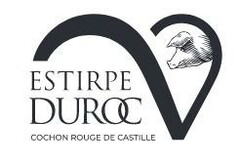 ESTIRPE DUROC COCHON ROUGE DE CASTILLE