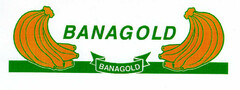 BANAGOLD BANAGOLD