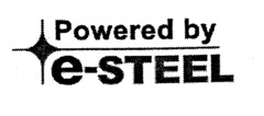 Powered by e-STEEL