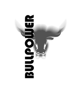 BULLPOWER