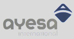 ayesa international