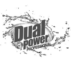 DUAL POWER PROFESSIONAL