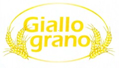 Giallo grano