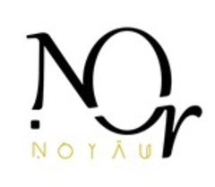 NOR NOYAU