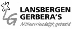 LG LANSBERGEN GERBERA'S Milieuvriendelijk geteeld