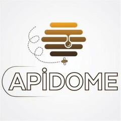 apidome