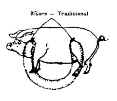 Bisaro - Tradicional