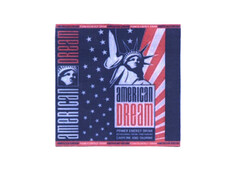 american DREAM POWER ENERGY DRINK