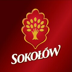 SOKOŁÓW