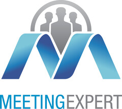 MEETING EXPERT