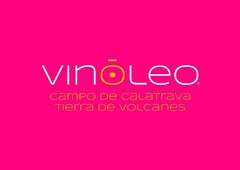 vinoleo campo de calatrava tierra de volcanes